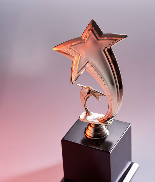 Gold star-shaped trophy with a smaller star on a black base against a soft pink and lavender background.